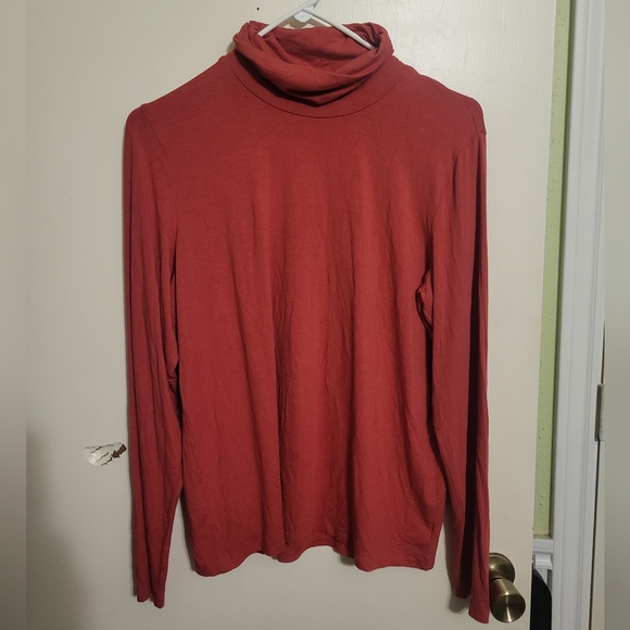 Eileen Fisher Cowl Neck Pullover Rust, Size L NEW w/o TAG - Picture 3 of 6